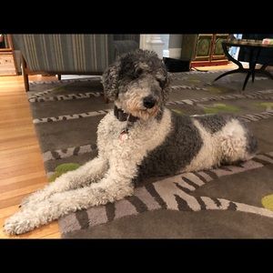 Meet your Posher, Kat